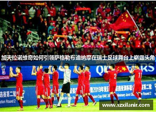 加夫拉诺维奇如何引领萨格勒布迪纳摩在瑞士足球舞台上崭露头角