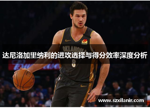 达尼洛加里纳利的进攻选择与得分效率深度分析