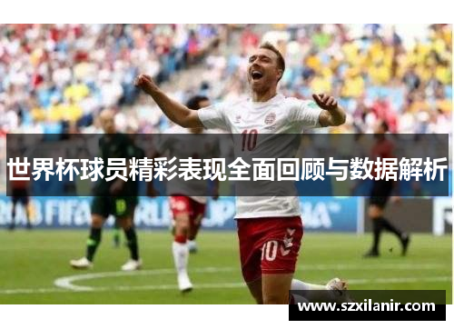 世界杯球员精彩表现全面回顾与数据解析