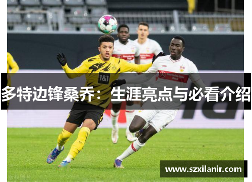 多特边锋桑乔:生涯亮点与必看介绍