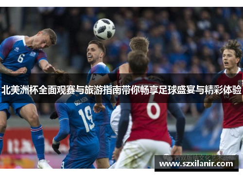 北美洲杯全面观赛与旅游指南带你畅享足球盛宴与精彩体验