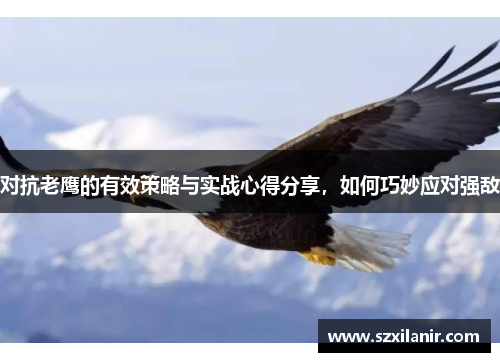 对抗老鹰的有效策略与实战心得分享，如何巧妙应对强敌
