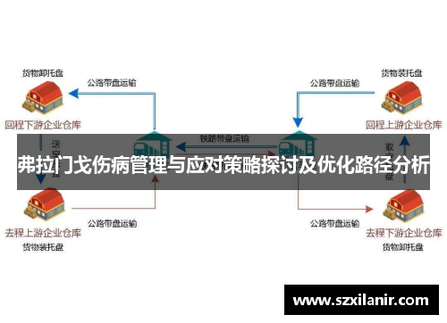 弗拉门戈伤病管理与应对策略探讨及优化路径分析
